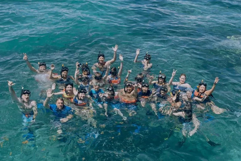The whole group in the water in snorkelling masks